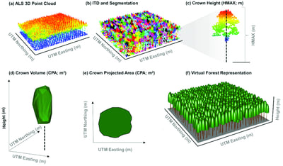 How point cloud is used to do tree counting