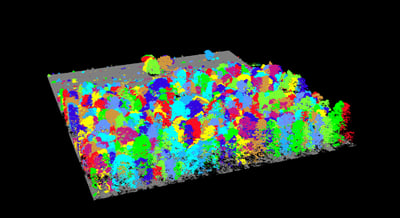 LiDAR data of tree line